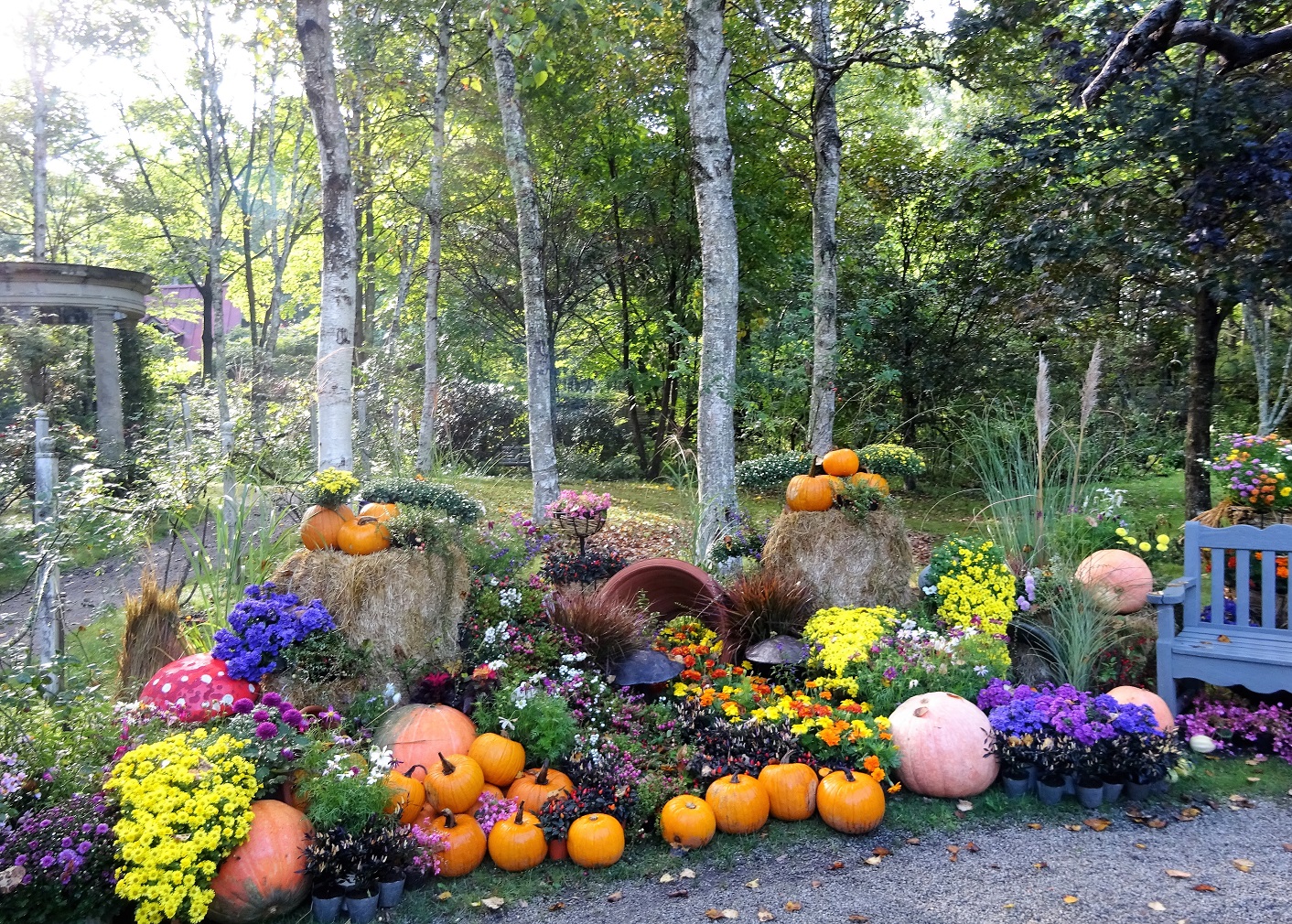 Barakura English Garden Harvest Festival : The Japan-British Society