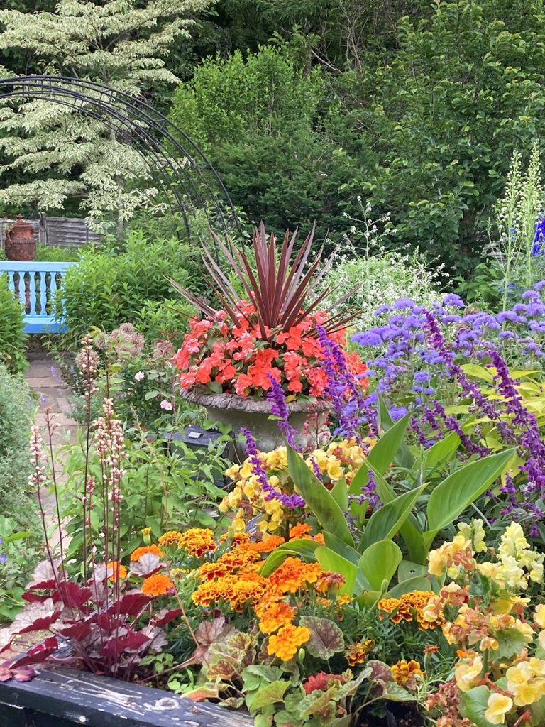 32nd Barakura Flower Show : The Japan-British Society